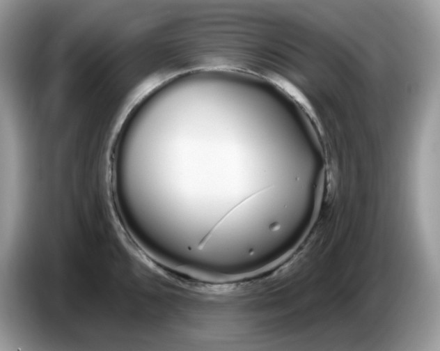 X0000086781096200704271805