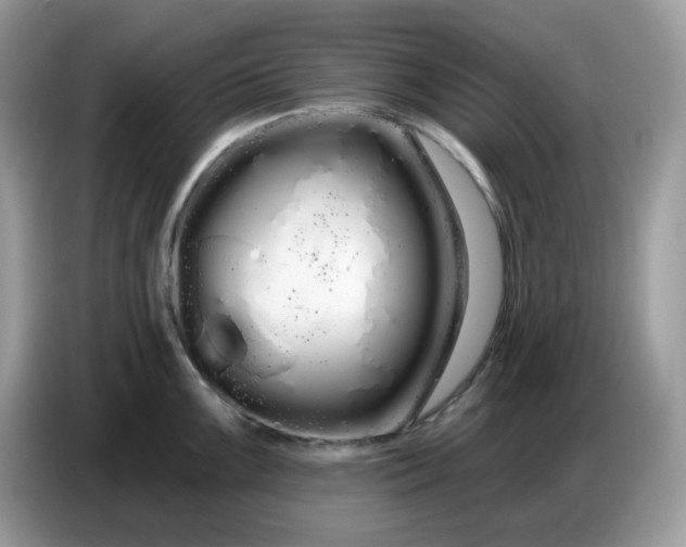 X0000086781099200704271805