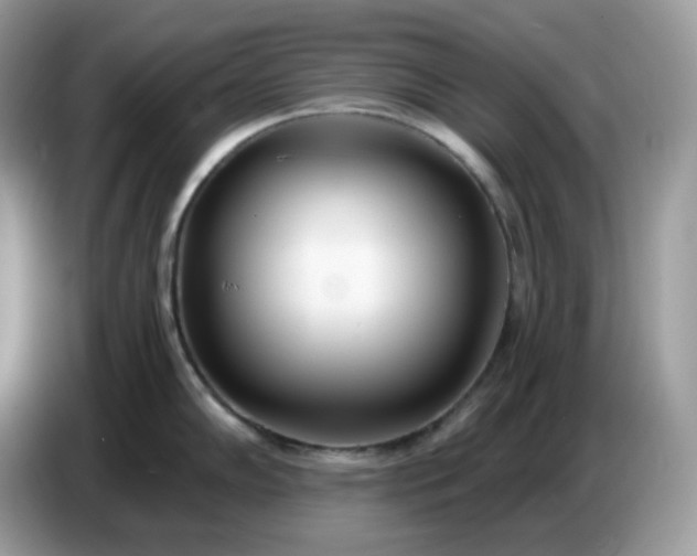 X0000086781102200704271805