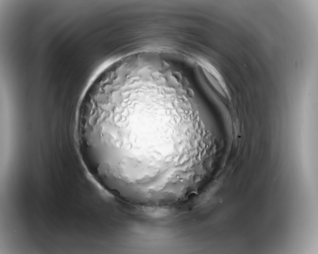 X0000086781103200704271805