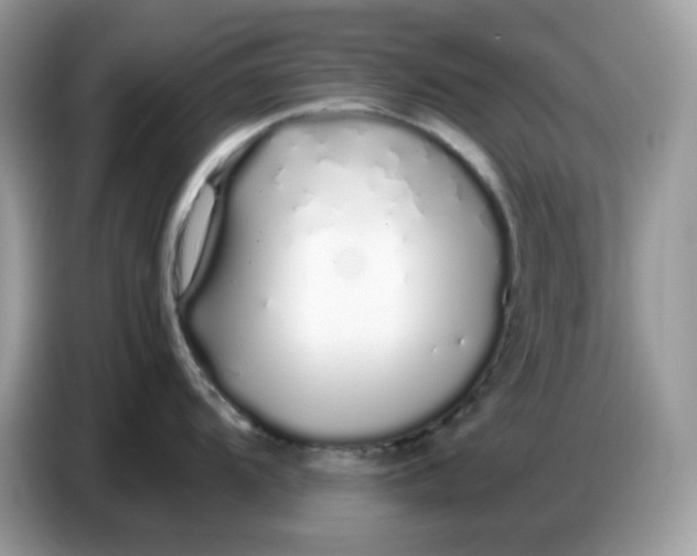 X0000086781104200704271805