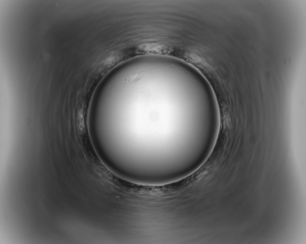 X0000086781106200704271804