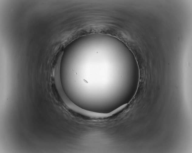 X0000086781109200704271804