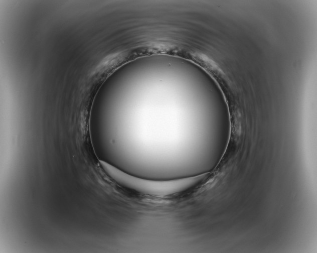 X0000086781110200704271804