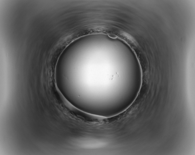 X0000086781111200704271804