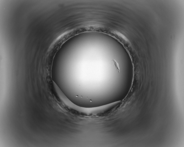 X0000086781112200704271804