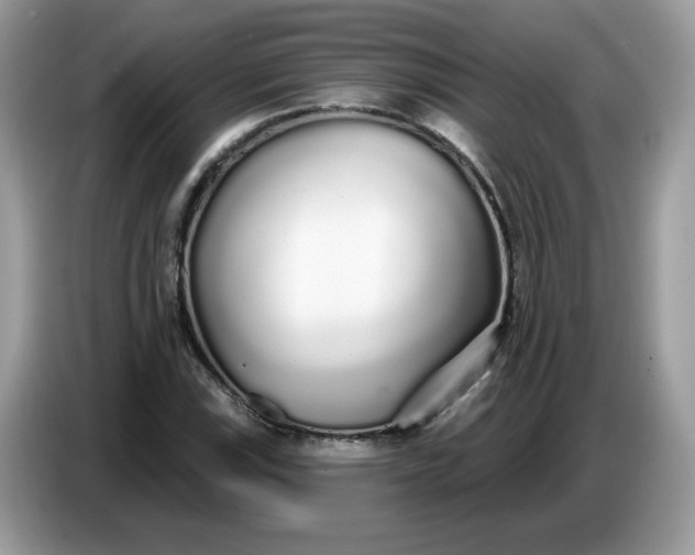 X0000086781115200704271804