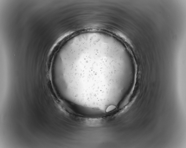 X0000086781117200704271804