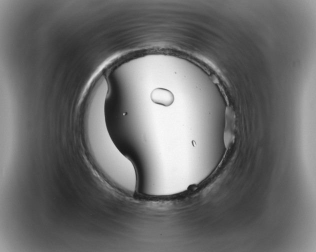 X0000086781118200704271804