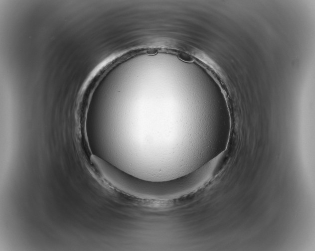 X0000086781120200704271804