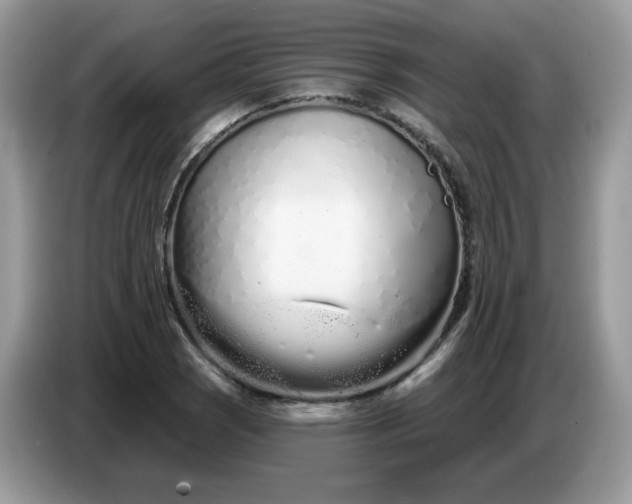 X0000086781121200704271804