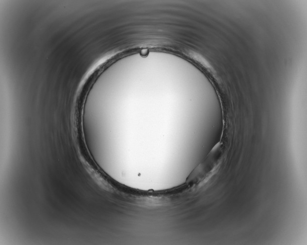 X0000086781122200704271804