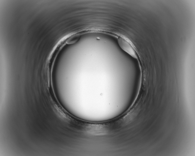 X0000086781123200704271804