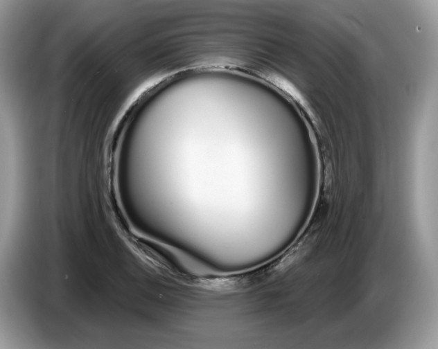 X0000086781124200704271804