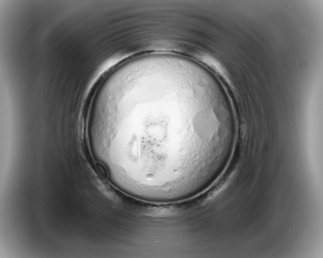 X0000086781125200704271804