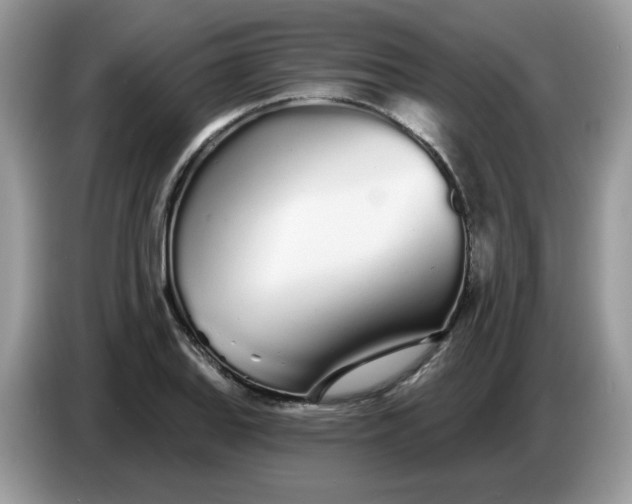 X0000086781127200704271804