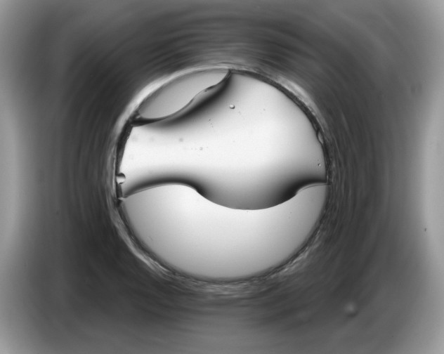 X0000086781128200704271804