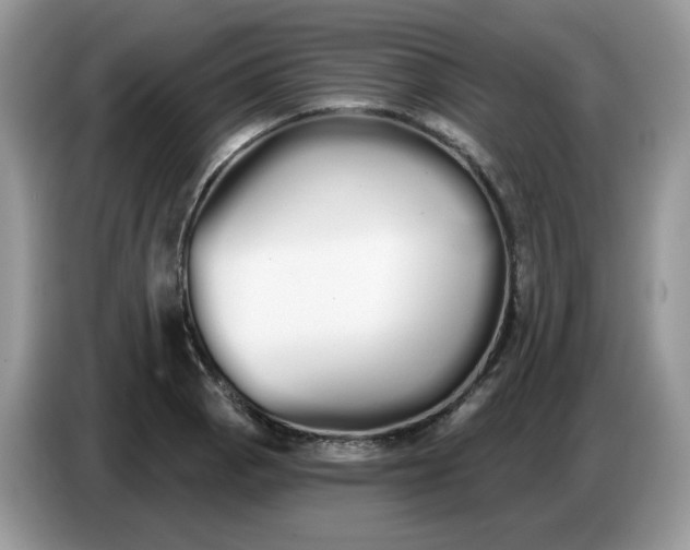 X0000086781129200704271805