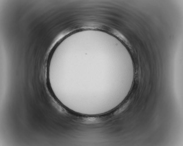 X0000086781130200704271805