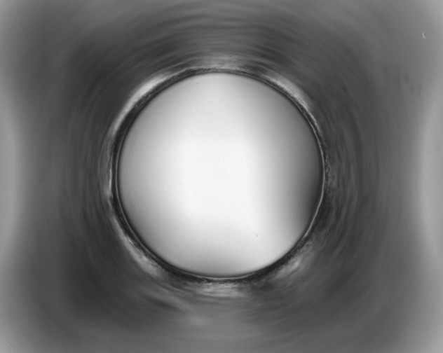 X0000086781131200704271805