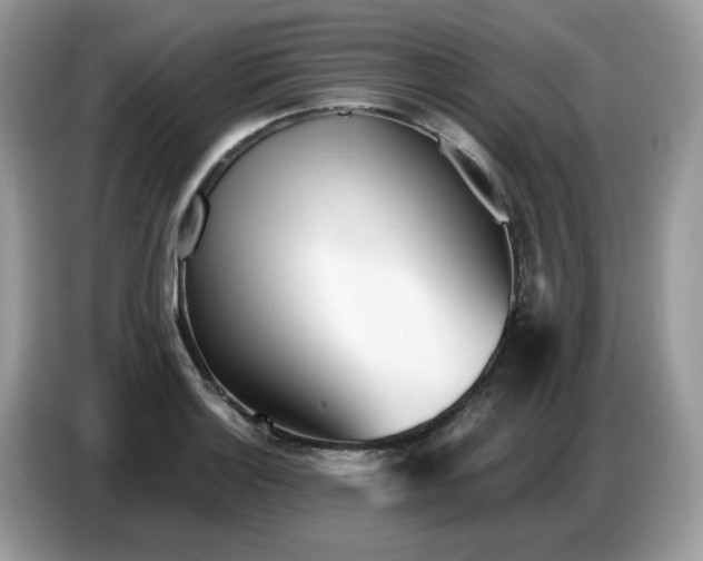 X0000086781132200704271805