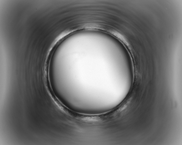 X0000086781133200704271805