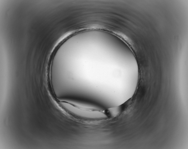 X0000086781134200704271805