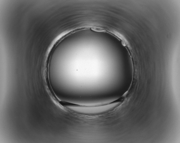 X0000086781136200704271805