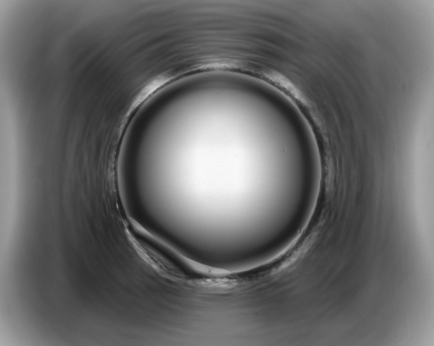 X0000086781137200704271805