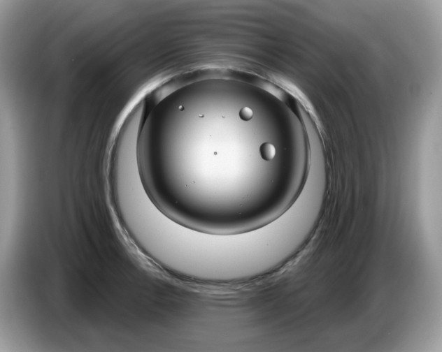 X0000086781138200704271805