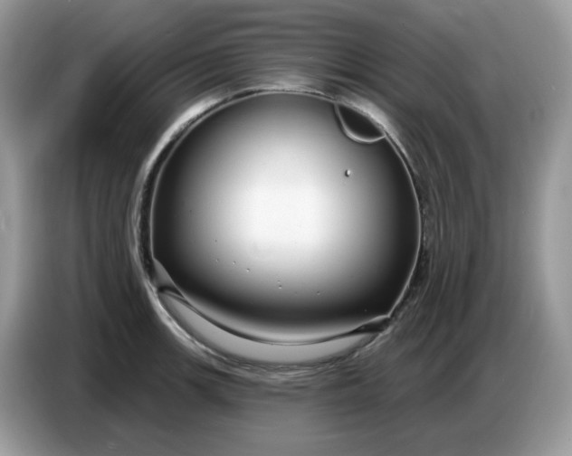 X0000086781139200704271805