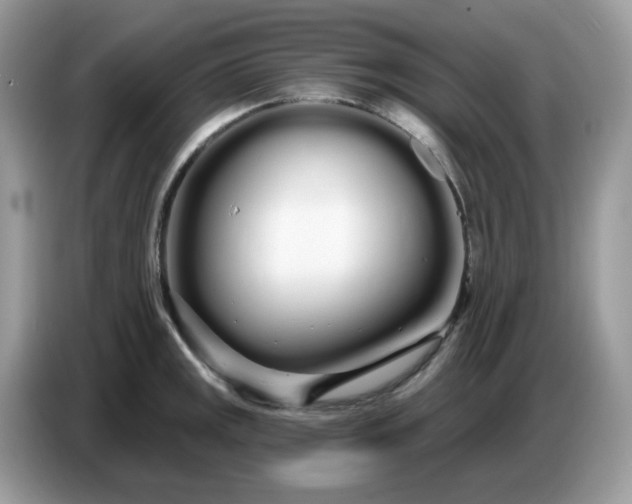 X0000086781141200704271805