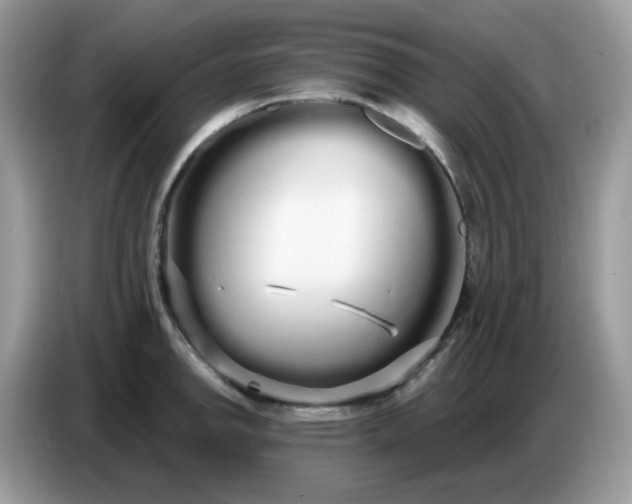 X0000086781142200704271805