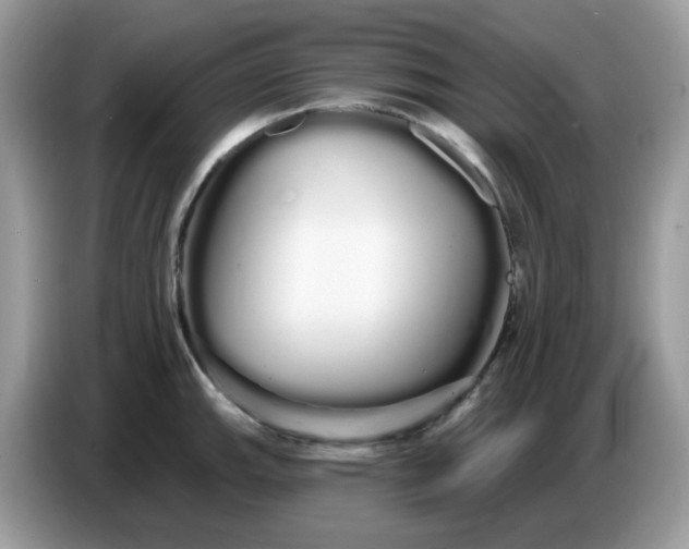 X0000086781143200704271805