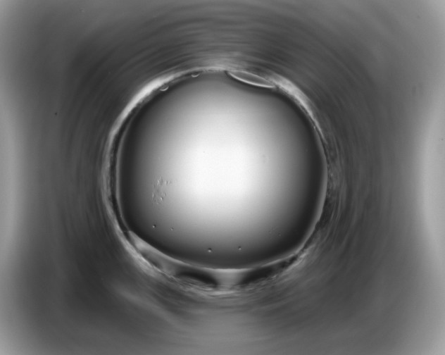 X0000086781147200704271805