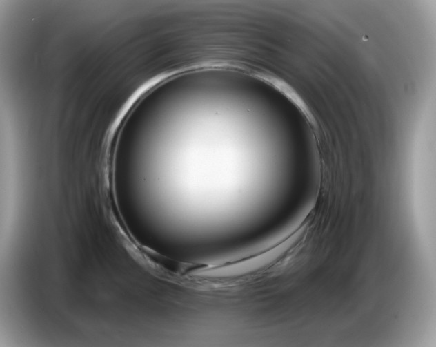 X0000086781148200704271805