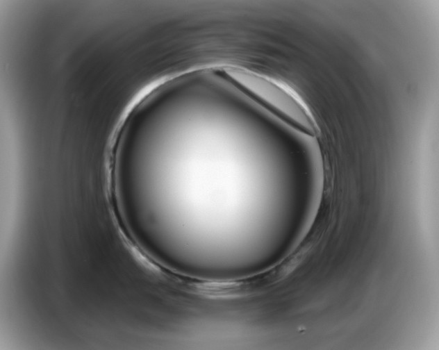 X0000086781151200704271805