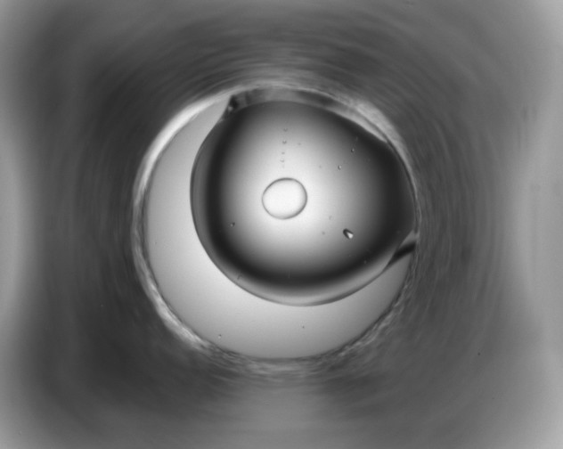 X0000086781152200704271805