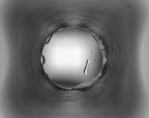 X0000086781153200704271804