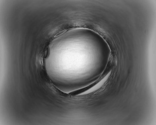 X0000086781155200704271804