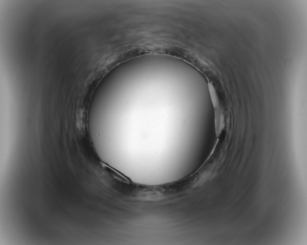 X0000086781156200704271804