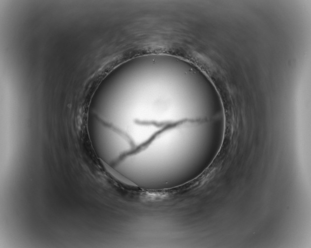 X0000086781157200704271804