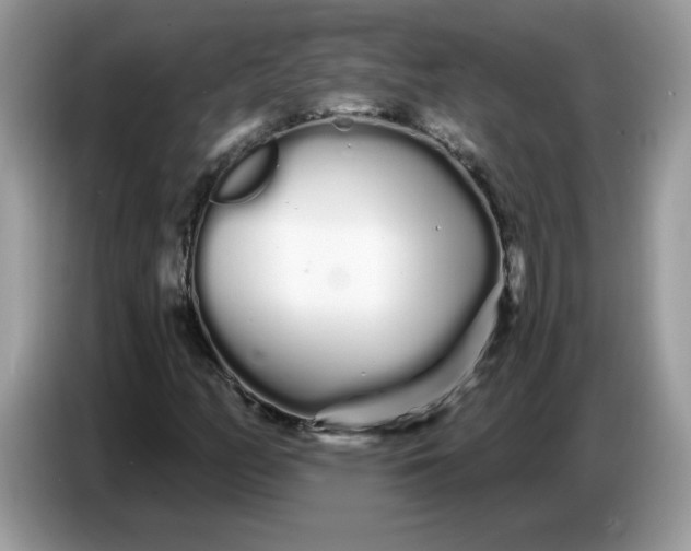 X0000086781158200704271804