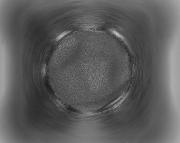 X0000086781161200704271804