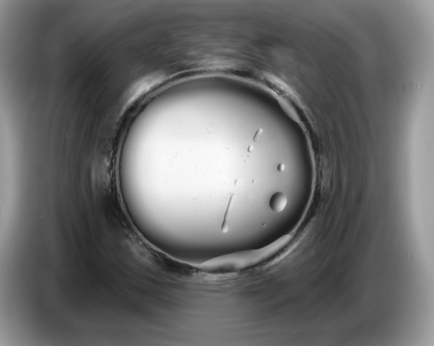 X0000086781163200704271804