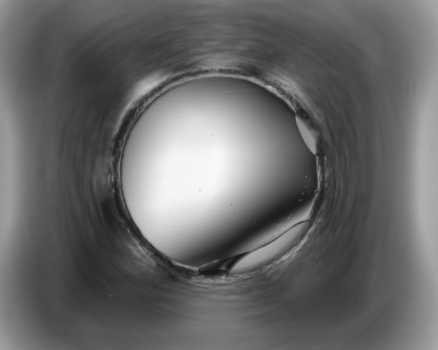 X0000086781164200704271804