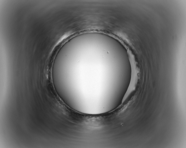 X0000086781165200704271804