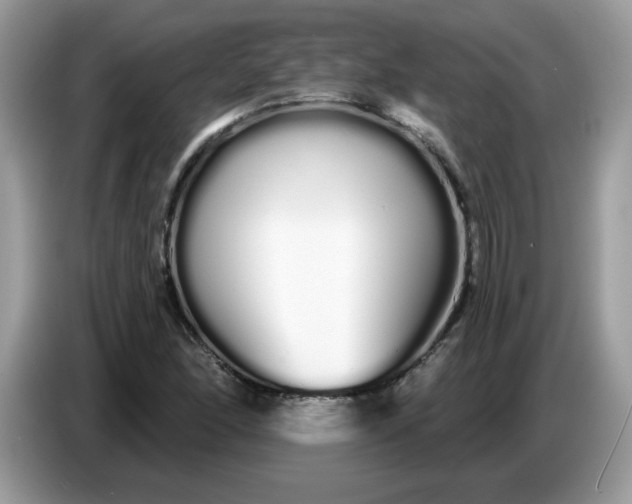 X0000086781166200704271804