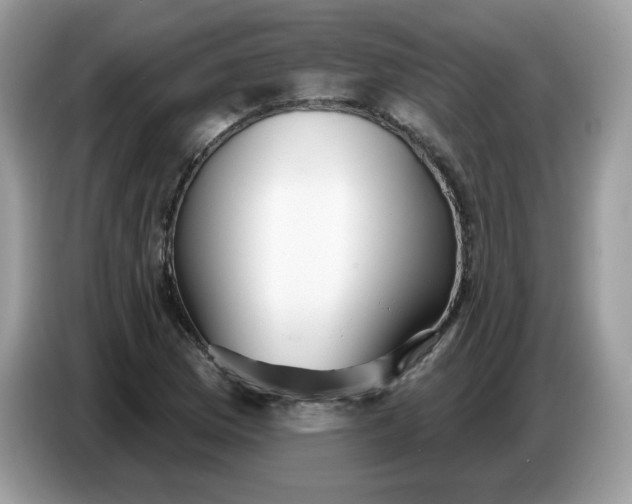 X0000086781169200704271804