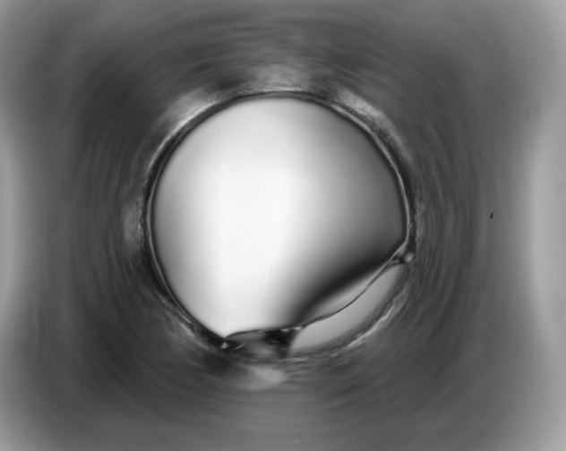 X0000086781170200704271804